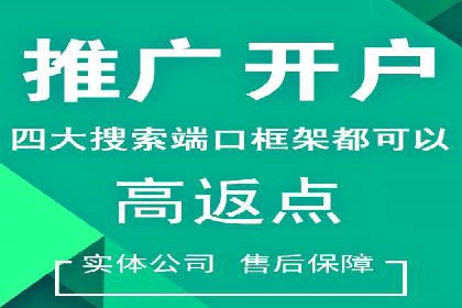 百度竞价赚钱秘诀：实战案例分析